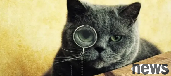 The difference between a cat that comes when you shout and a cat that cannot be shouted is so big