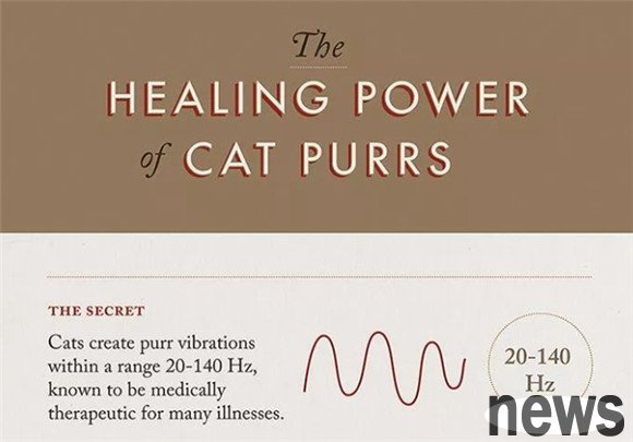 Does cat purring help heal fractures and muscle damage? Expert: Yes!