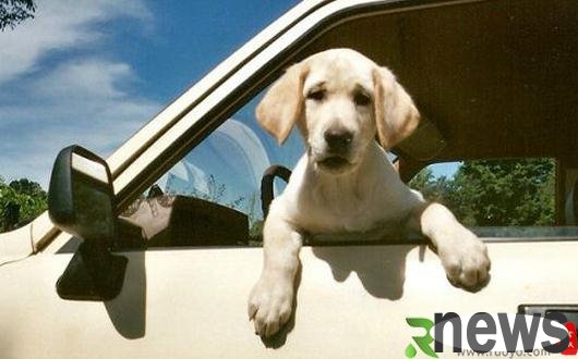Symptoms and manifestations of motion sickness - How to treat motion sickness?