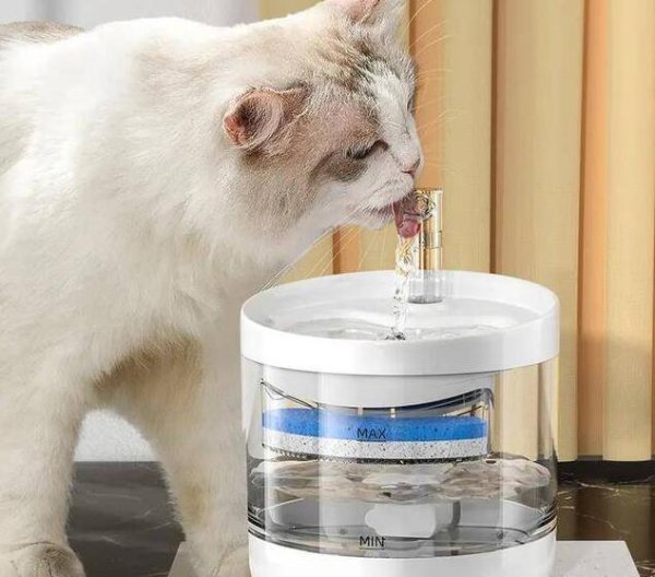 Cats don’t drink water, so give them tips for cats who don’t like to drink water!