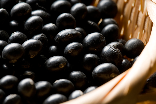 How to do winter nourishment? Chinese doctors teach you how to eat 4 ingredients and 5 acupoints to nourish your kidneys