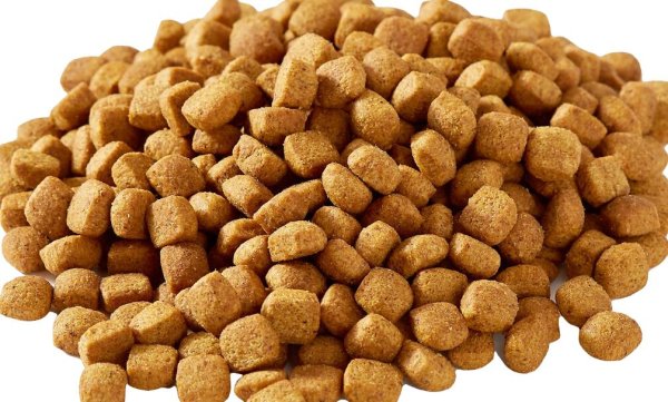 What kind of dog food is good for puppies?