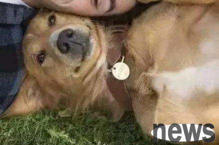It turns out that raising dogs has these 