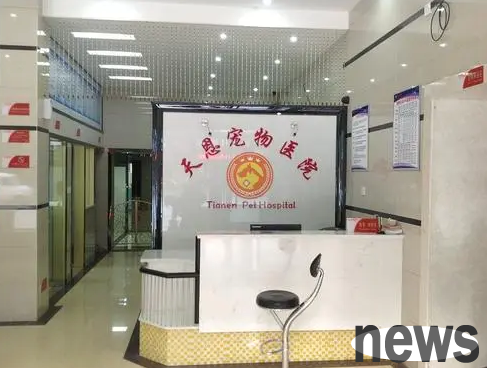Does the pet hospital help stray cats? | Pet doctor in Liuyang rides 20,000 miles apart to rescue more than 30 stray cats and dogs