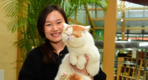 Sad! The lady met a big mouse on the way off work. When she looked carefully, she turned out to be a skinny Garfield cat