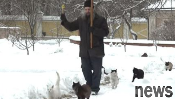 Follow the clergy and pray for blessings. Russian cats are so pious