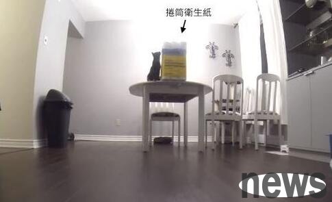 If the cat slave is not at home, putting toilet paper on the table, the consequence is...