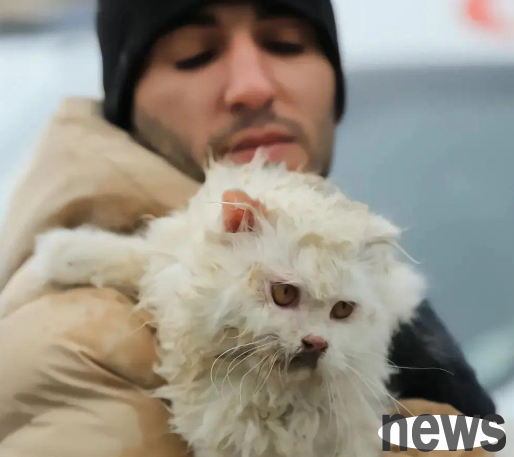 Türkiye s 7.8-magnitude earthquake, the boy handed over his cat when he was discovered by the rescue team: please save it first