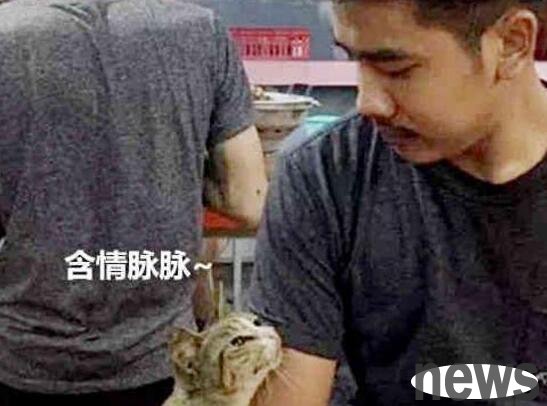 The big cat asked for food from the guests, but got nothing and was petted twice. His expression immediately changed!