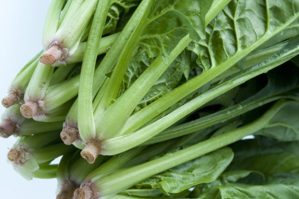 Eat spinach in autumn and winter and experience 3 significant changes in your body! Don’t throw away the “most nutritious part”, everyone in the know eats it