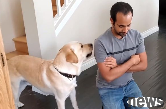 The owner is angry and ignores the dog, and the dog behaves in vain to please the dog. In the end, there is a 