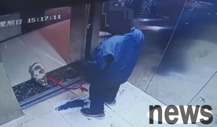 The Internet revealed that a boy was suspected of strangling his pet dog with the elevator door, and the police in Ma anshan, Anhui Province intervened