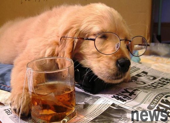 Gouzi: Do you think I m sleeping? Actually I am exercising my facial muscles~